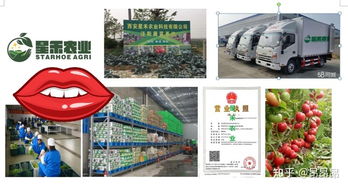 西安食材配送服務(wù)中心 專(zhuān)業(yè)一站式配送服務(wù)，助力餐飲與家庭食材供應(yīng)